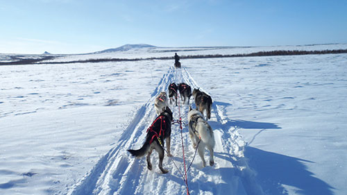adventures-alaska-010113-09