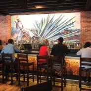 Flying Iguana Taqueria and Tequila