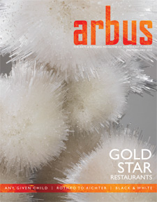 arbus_cover_jf2015-1.indd
