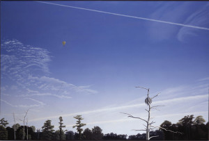  Joseph Jeffers Dodge (American, 1917–1997), Osprey Nest, Silver Smith Creek, 1994–1995, oil on canvas, 48 x 32 in., Gift of Mr. Joseph Jeffers Dodge, AG.1996.2.61; Doug Eng, Power Seat, 2012, archival pigment print. Photograph courtesy of the artist.