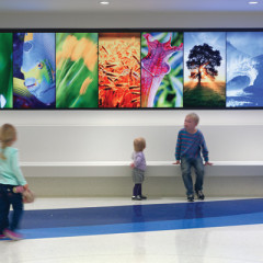 Art’s Essential Role in Healing at Baptist Health