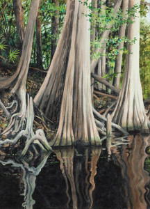 River Bend