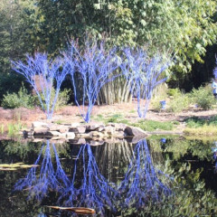 The Blue Trees