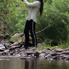Let The River Flow