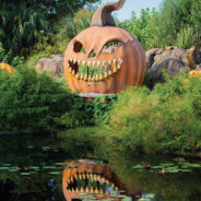 33rd Annual Spooktacular