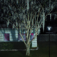 Ericka Sobrack: Suburban Echoes