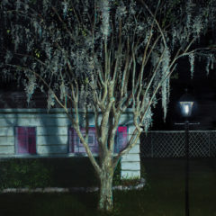 Ericka Sobrack: Suburban Echoes