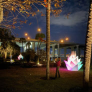 Illuminating Nature
