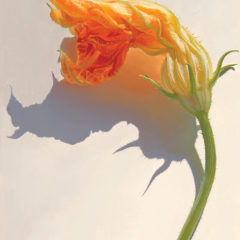 A Single Flower Of Many