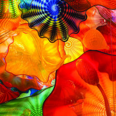 Experience Chihuly