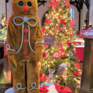 19th Annual Gingerbread Extravaganza