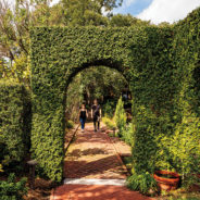 Finding Wellness at the Cummer Museum of Art & Gardens  