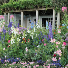 For the Love of Gardening