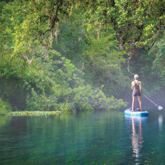 Saving the Blue Heart:                                                         The Ichetucknee River Story