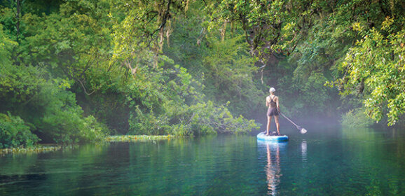 Saving the Blue Heart:                                                         The Ichetucknee River Story
