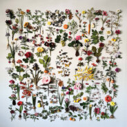 Art in Bloom