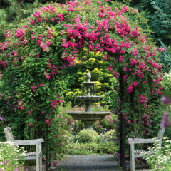 Inspiring Gardens