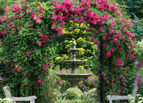 Inspiring Gardens